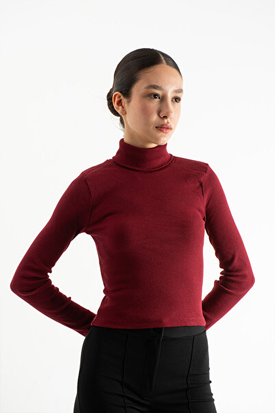 Hepici Γυναικείο ελαστικό πουλόβερ με ψηλό λαιμό