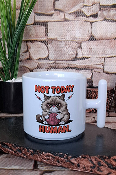 giftkonsept Cat Funny Humorous Cat Lover Fun Gift Printed t Handle Latte Cup Mug