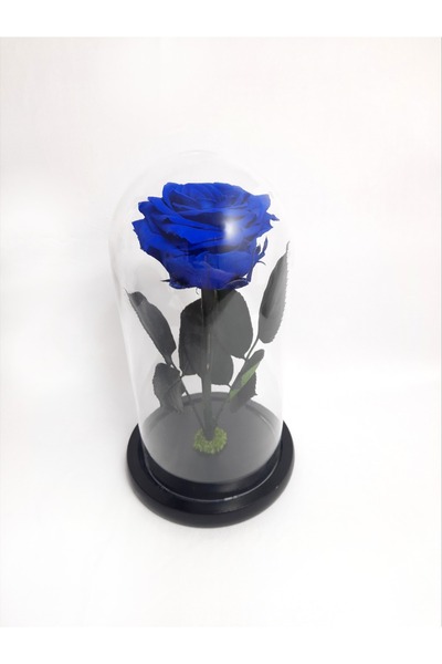 OEM Trandafir criogenat Premium in cupola de sticla, 25cm