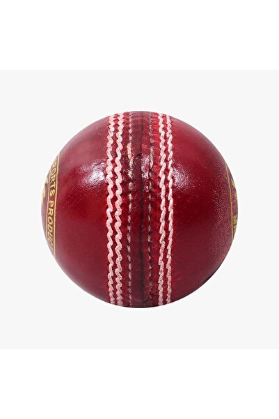 DSC Swing Leather Cricket Ball (Red)