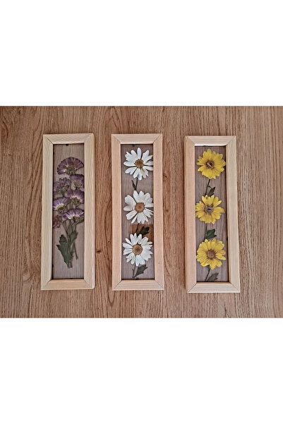 Store 3'lü ahşap set kurutulmuş papatya
