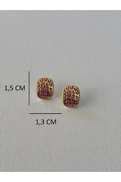 Nilsu Aksesuar Steel Stylish Design Patterned Women's Earrings