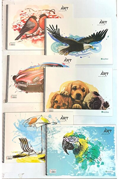 ÖZ KIRTASİYE Karışık Desen Spiralli Resim Defteri Orta Boy (1 ADET)