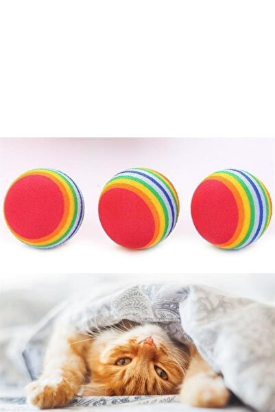 Hane Dostu 6 Adet Gökkuşağı Model Yumuşak Esnek Isırmaya Dayanıklı Kedi Köpek Çiğneme Oyun Topu