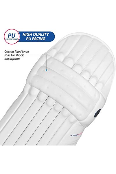 DSC Intense Passion Cricket Batting Legguard Mens Right