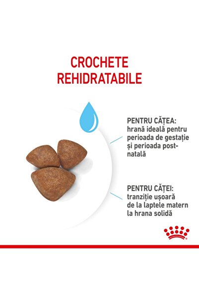 Royal Canin Royal Canin Mini Starter Mother & Babydog gestation/lactation puppy dry dog food, 4 kg