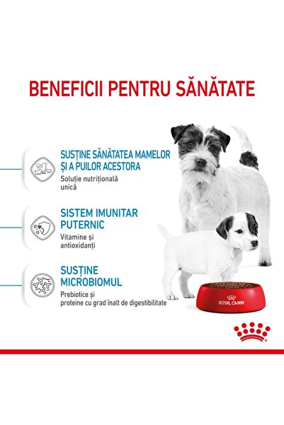 Royal Canin Royal Canin Mini Starter Mother & Babydog gestation/lactation puppy dry dog food, 4 kg