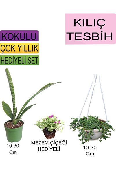 Nura Botanik 3'Lü Set Tek Dikim Kılıç+Askılı Saksılı Tesbih+Hediyelik Mezem Ç...