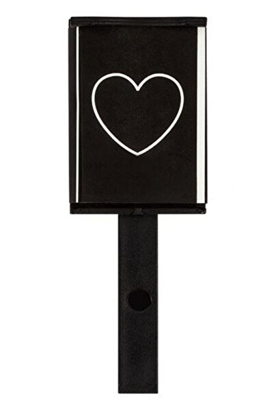 Ami Gel Magnet pentru ojă sau gel magnetic, model inimă nr. 8 - Ami Gel