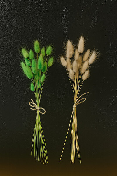 ÇINARASYADAHOME Buchet de iarbă naturală uscată de coadă de iepure verde-alb ...