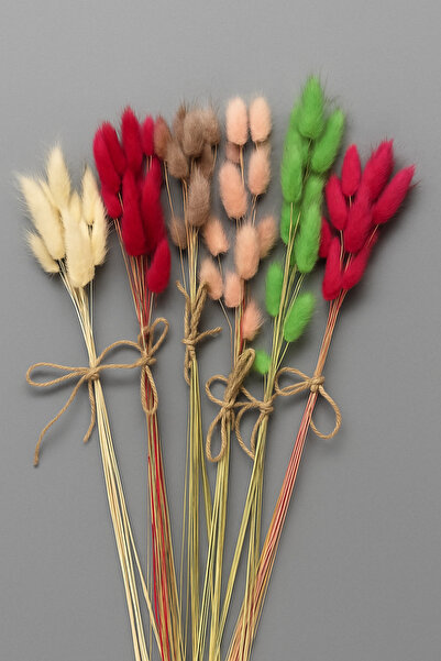 ÇINARASYADAHOME Buchet de iarbă naturală uscată de coadă de iepure în culori mixte, 6 buchete (60 ramuri)