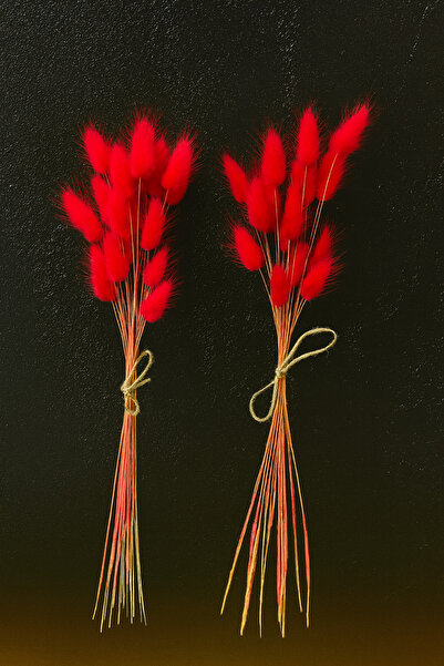 ÇINARASYADAHOME Buchet de iarbă naturală uscată de coadă de iepure roz-roșu 2...