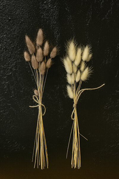 ÇINARASYADAHOME Beyaz-Gri Doğal Kurutulmuş Tavşan Kuyruğu Otu Buketi 2 Demet 20'li Dallı Çift Renkli