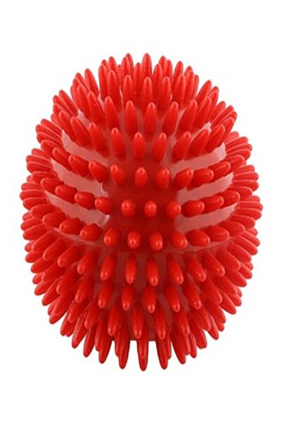 NaturalTakviyem plates el ve vücut masaj topu