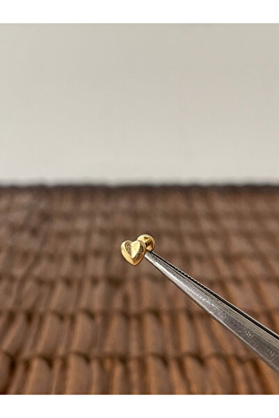 Rupen Kraft 316 L Cerrahi Çelik Kalp Modeli Dudak Helix Tragus Kıkırdak Conch...