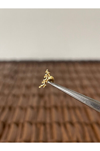 Rupen Kraft 316 L Cerrahi Çelik Zeytin Dalı Dudak Helix Tragus Kıkırdak Conch Piercingi