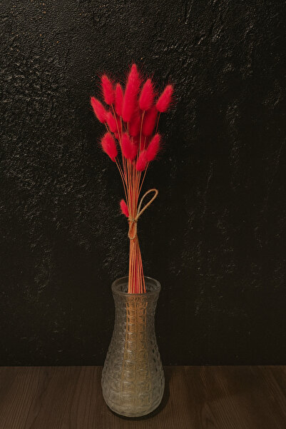 ÇINARASYADAHOME Buchet de iarbă naturală uscată de coadă de iepure de culoare...