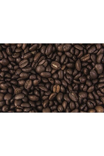 OEM Pictură premium pe pânză, abstract boabe de cafea, 50 x 50