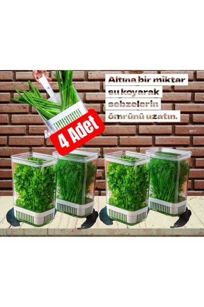ViATOM Greenery Storage Container 4 Pieces 2900ml Maydonuz, Dill, Parsley Roka Greenery Vegetable Container