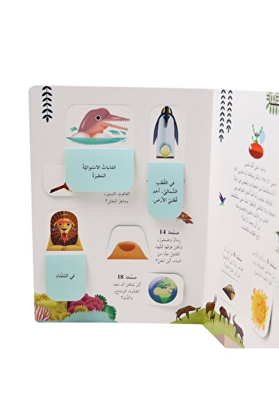 Creative ideas for publishing Discover the Earth - Open the window and discover with over 60 folds inside the book