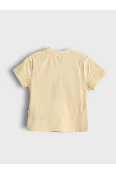 LC Waikiki Crew Neck Printed Baby Boy T-Shirt and Shorts 2-Piece