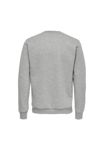 ArdaEge Men's Gray Crew Neck Sweatshirt