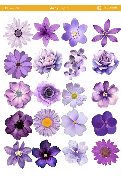 MirayDesign 1 list naljepnica sa cvetnom tematikom 12*17 cm / album za izdvoj...