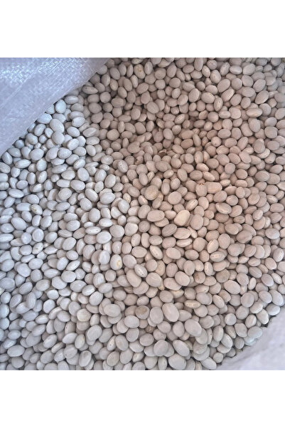 SİVAS SUŞEHRİ ŞEKER FASULYESİ 5kg