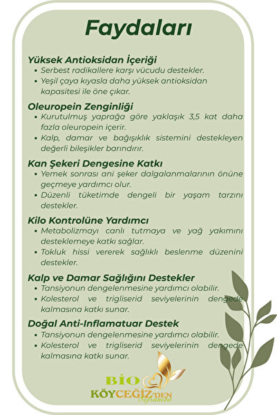 BİO KÖYCEĞİZDEN SOFRANIZA Yaş Zeytin Yaprağı Çayı | Köyceğiz'den %100 Doğal Detox Bitki Çayı • Güçlü Antioksidan