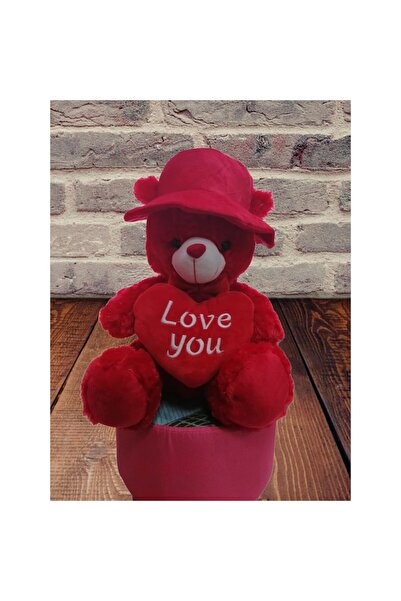 OEM Ursulet cu palarie, inimioara si mesaj, rosu, 42 cm