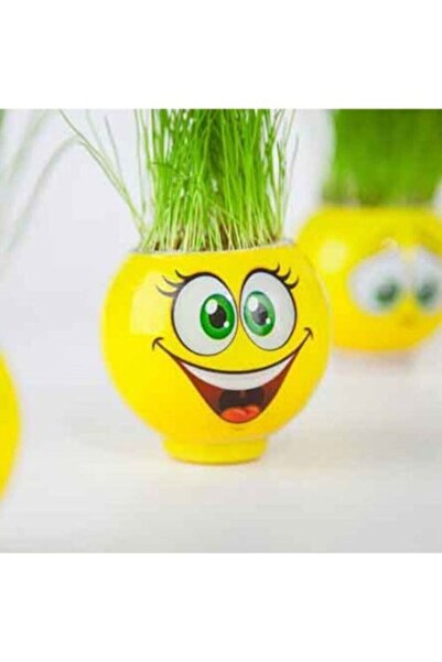 NEWBRENDHOME Educational Boy's Toy New Generation Grass Men with Emoji Emotic...