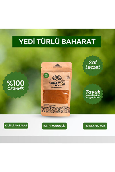 BAHARATICA Yedi Türlü Baharat 100 Gr