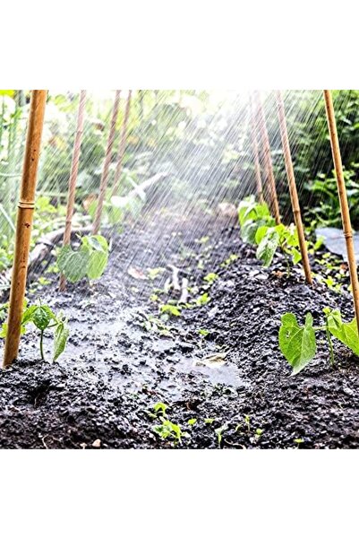 genric FFD Natural Bamboo Poles - Thick Large Long Stakes for Plant Support, Garden Canes 100cm Pack of 5