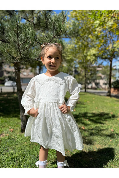 Minizade Rochie pentru fetiță cu mâneci lungi, cu decolteu în V, pentru ocazie specială, ziua de naștere, petrecere de nuntă, ocazională, rochie pentru fetiță