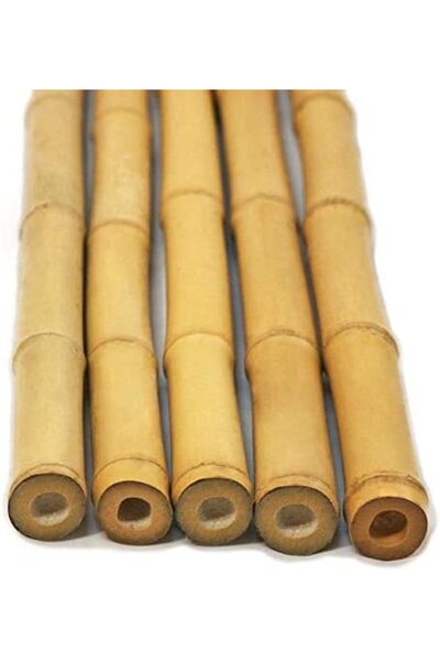 genric FFD Natural Bamboo Poles - Thick Large Long Stakes for Plant Support, Garden Canes 100cm Pack of 5
