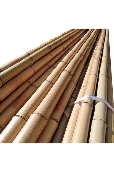 genric FFD Natural Bamboo Plant Supports - 60cm Gardening Stakes Pack of 5