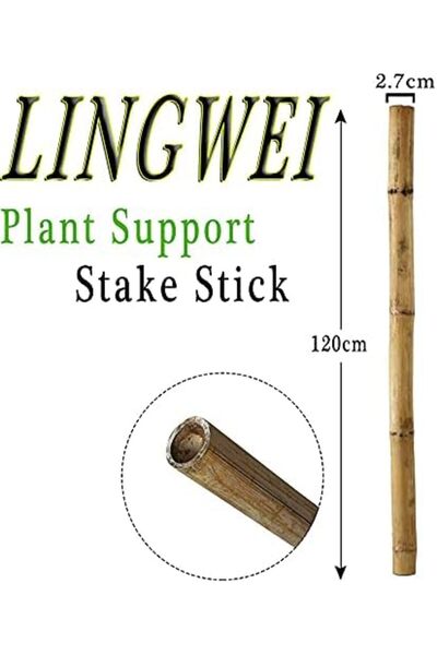 genric FFD Plant Stakes Natural Garden Bamboo Sticks for Indoor and Outdoor Plants, Flowers 120cm 20 pcs