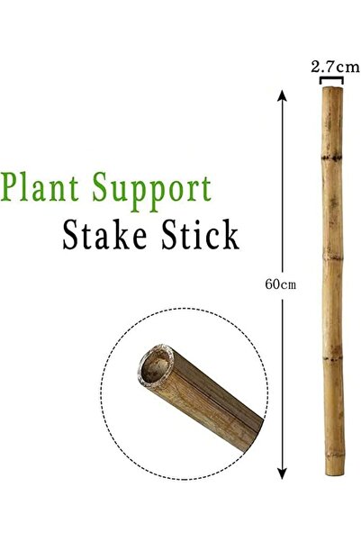 genric FFD Natural Bamboo Stick Tall Garden Plant Stakes Bamboo Poles Stakes Bamboo Rod Support 100cm 10 pc