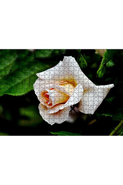 Cakapuzzle لغز الصور المقطوعة من كاكاسيبتيم، 500 قطعة، تصميم الوردة الصفراء و...