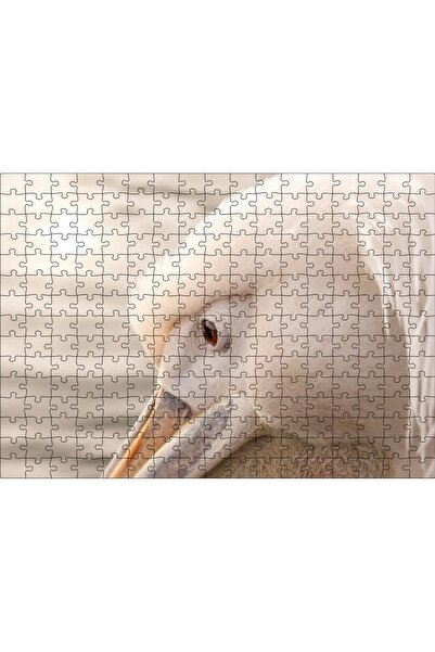 Cakapuzzle Cakasepetim Pelikan Close-Up Flu Background 120 Piece Puzzle Jigsa...