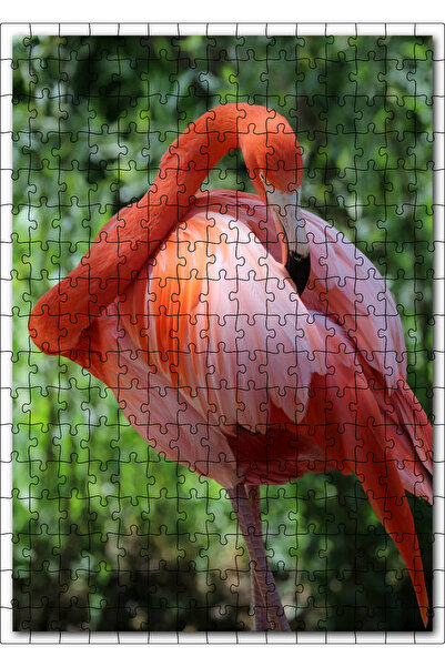 Cakapuzzle Cakasepetim Cleans the Flamingo Feathers 255 Piece Puzzle Jigsaw P...