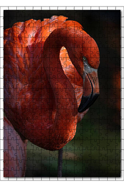 Cakapuzzle Cakasepetim Elegant Flamingo 255 Piece Puzzle Jigsaw Mdf (Wood)