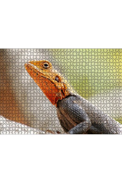 Cakapuzzle Cakasepetim Orange Headed Lizard Close-Up 1000 Piece Puzzle Jigsaw...