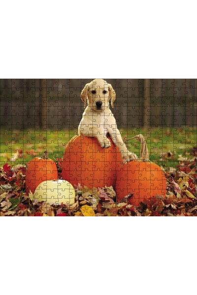 Cakapuzzle Cakasepetim Dog Pumpkins 255 Piece Puzzle Jigsaw Mdf (Wood)