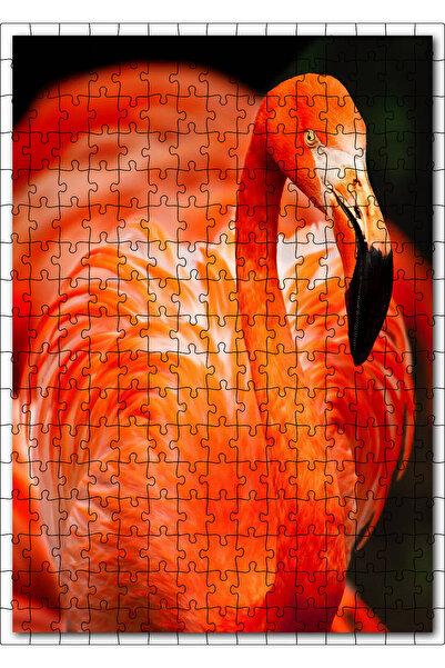 Cakapuzzle Cakasepetim Elegant Flamingo Black Background 255 Piece Puzzle Jig...
