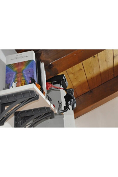 FLEXIS WE MAKE IT POSSIBLE FOR YOU Ejderha Tasarımlı Book Nook (Kitap Arası Dekoru)