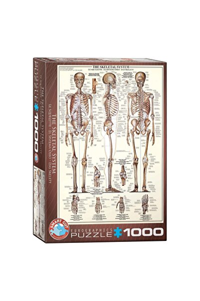 Eurographics Puzzle - The Skeletal System, 1000 pieces