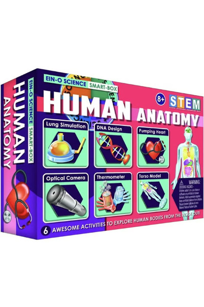 Ein-O Science مجموعة أنشطة تعلم علوم تشريح الإنسان من Smart-Box