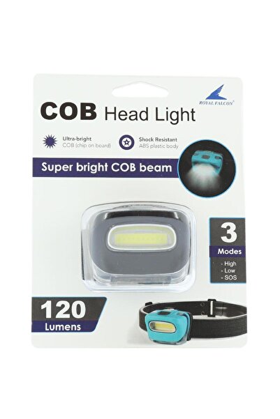 Royal Falcon المصباح الأمامي