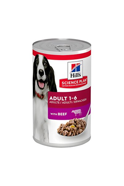 Hill's Hills Biftekli Konserve Yetişkin Köpek Maması 370gr